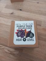 Pflanzen Samen Purple Tiger Hot Chilli Plant  TOLLE Geschenk