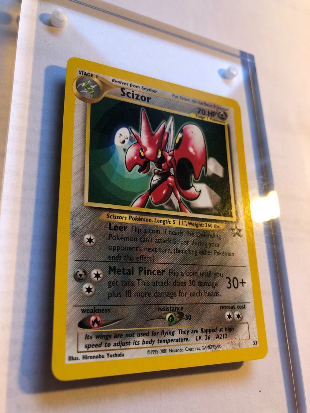 Carte collezionabili: Scizor Promo - MINT - ab 1.- – Usato da Giubiasco venduto da dan_pr8b 1