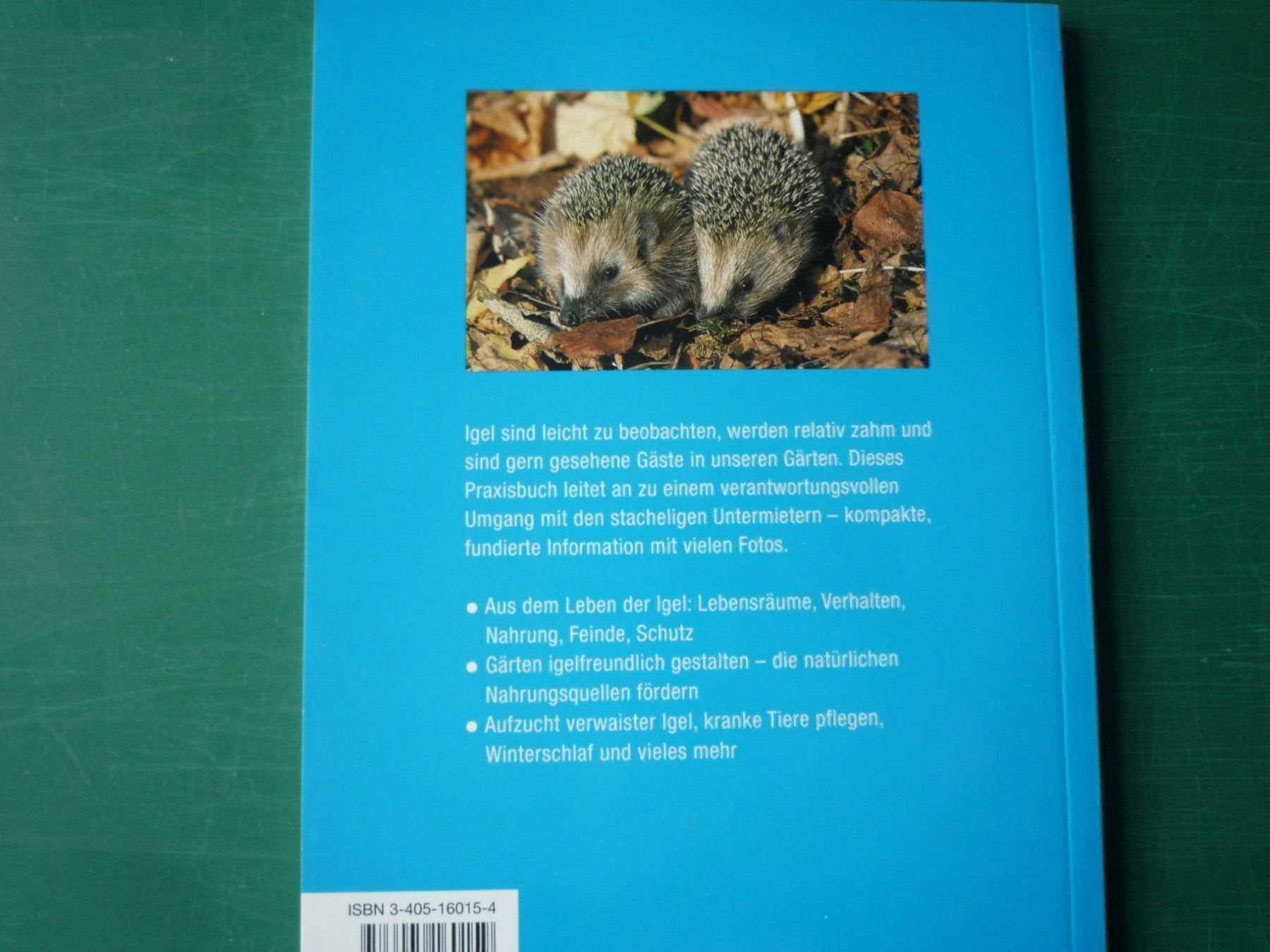 Libri: Das praktische IGEL-Buch – Usato da Rafz venduto da Sonnenblume305 9