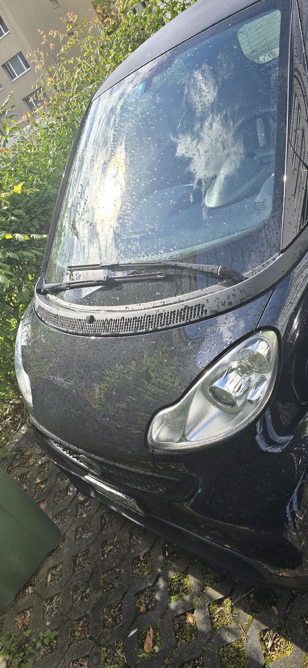 Smart Automobili: SMART fortwo coué mhd – Usato da Erschwil venduto da Yathin 1