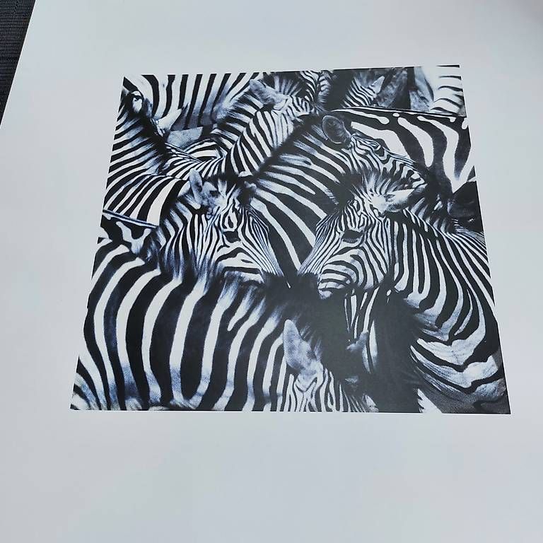 Posters & Illustrations: 3 Bilder – D'occasion à Bellikon par Anithom 4