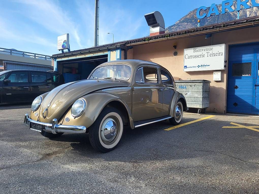 Automobili: Volkswagen Käfer Ovale – Usato da Fully venduto da Luvi 1