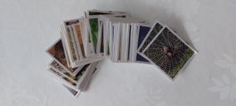 Farmmania, Stickers