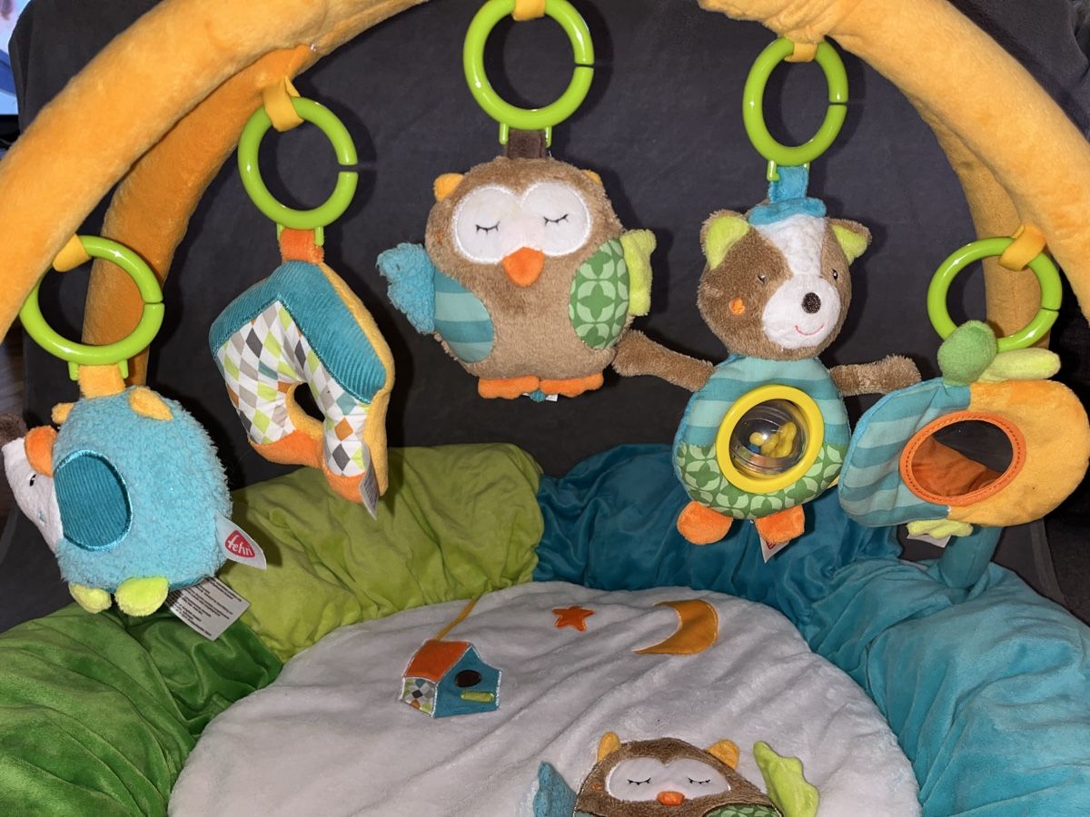 Tappeto da gioco: Spielbogen BabyFEHN Activity Nest – Nuovo (secondo la descrizione) da baden venduto da jessgold 2