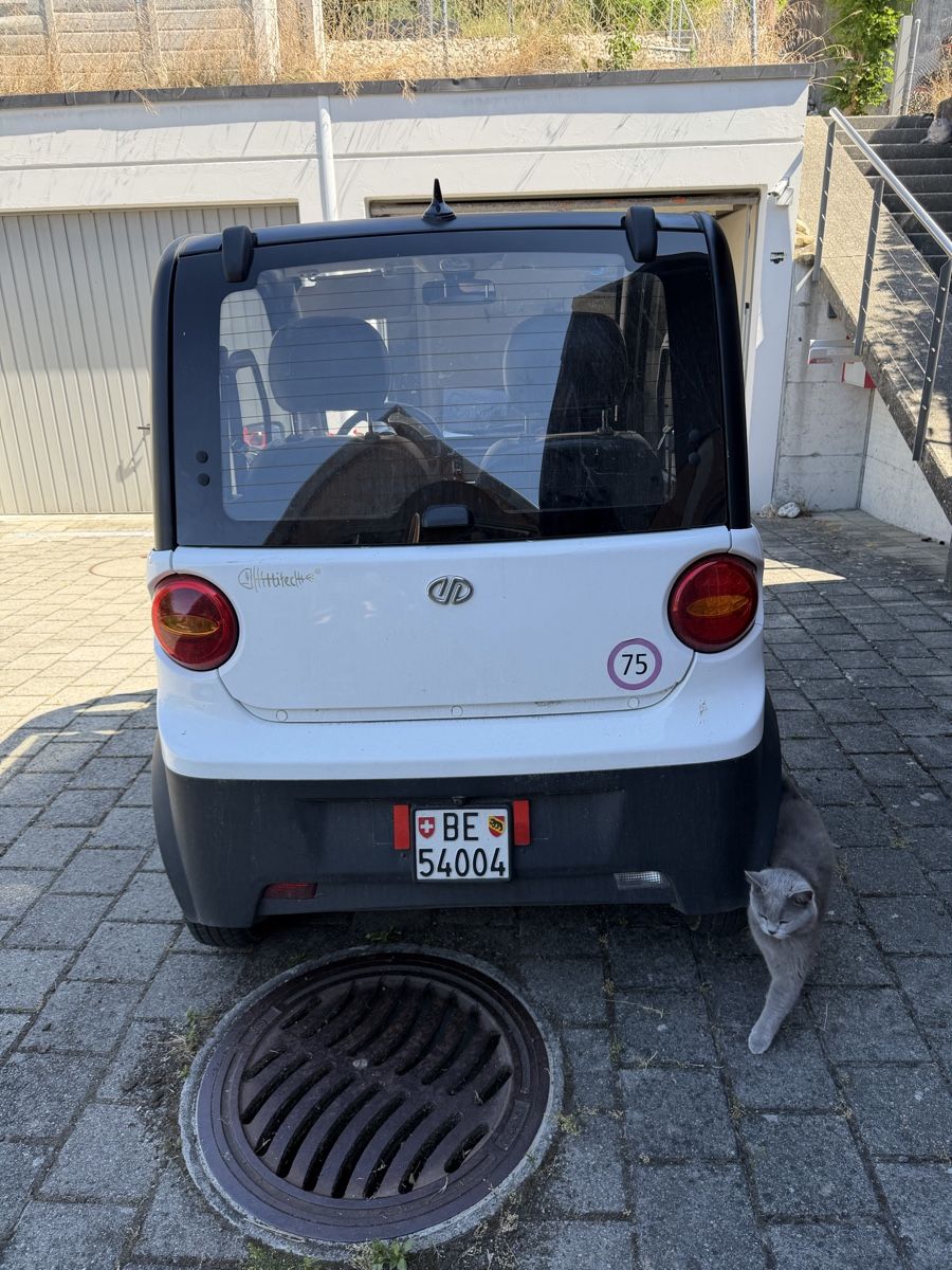 Voiturettes électriques: Jiayuan EV EIDOLA – D'occasion à Suberg par DaBo61 2