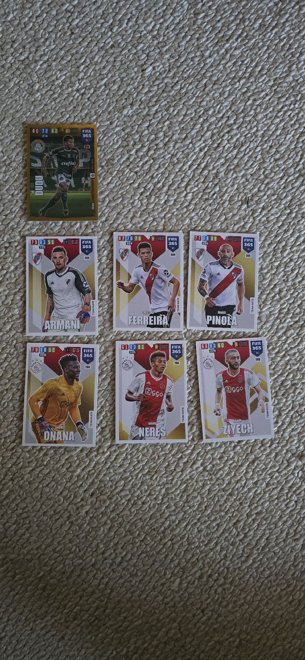 Panini Carte collezionabili: FIFA 365 Karten – Usato da Safnern venduto da Brionne 3