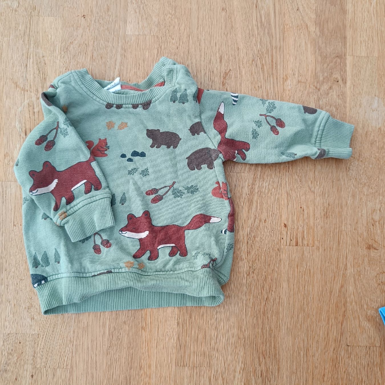 Pullover & Sweatshirts: Pullover Grösse 68 – Gebraucht aus Jaberg von urig17.