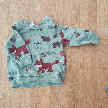 Pullover Grösse 68