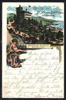 Litho Rorschach, Das St. Anna-Schloss