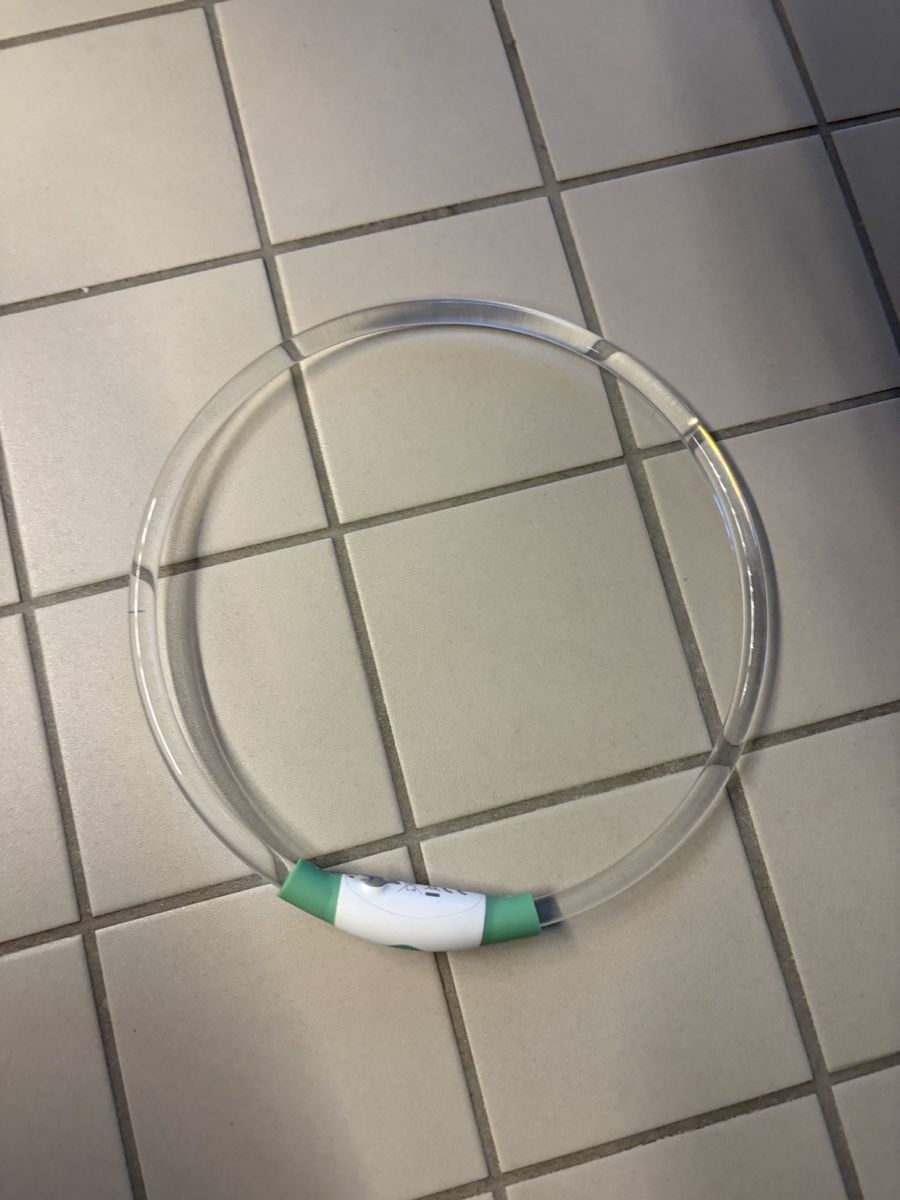 Abbigliamento: Leuchtendes Halsband – Nuovo (secondo la descrizione) da Wangen b. Olten venduto da oli_f9b8