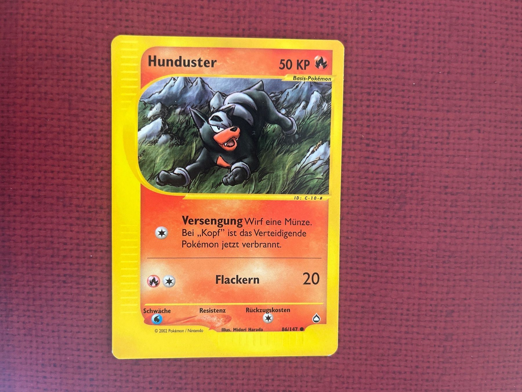 Pokémon Carte collezionabili: Pokemon Hunduster Aquapolis deutsch – Usato da Wabern venduto da Collectfun