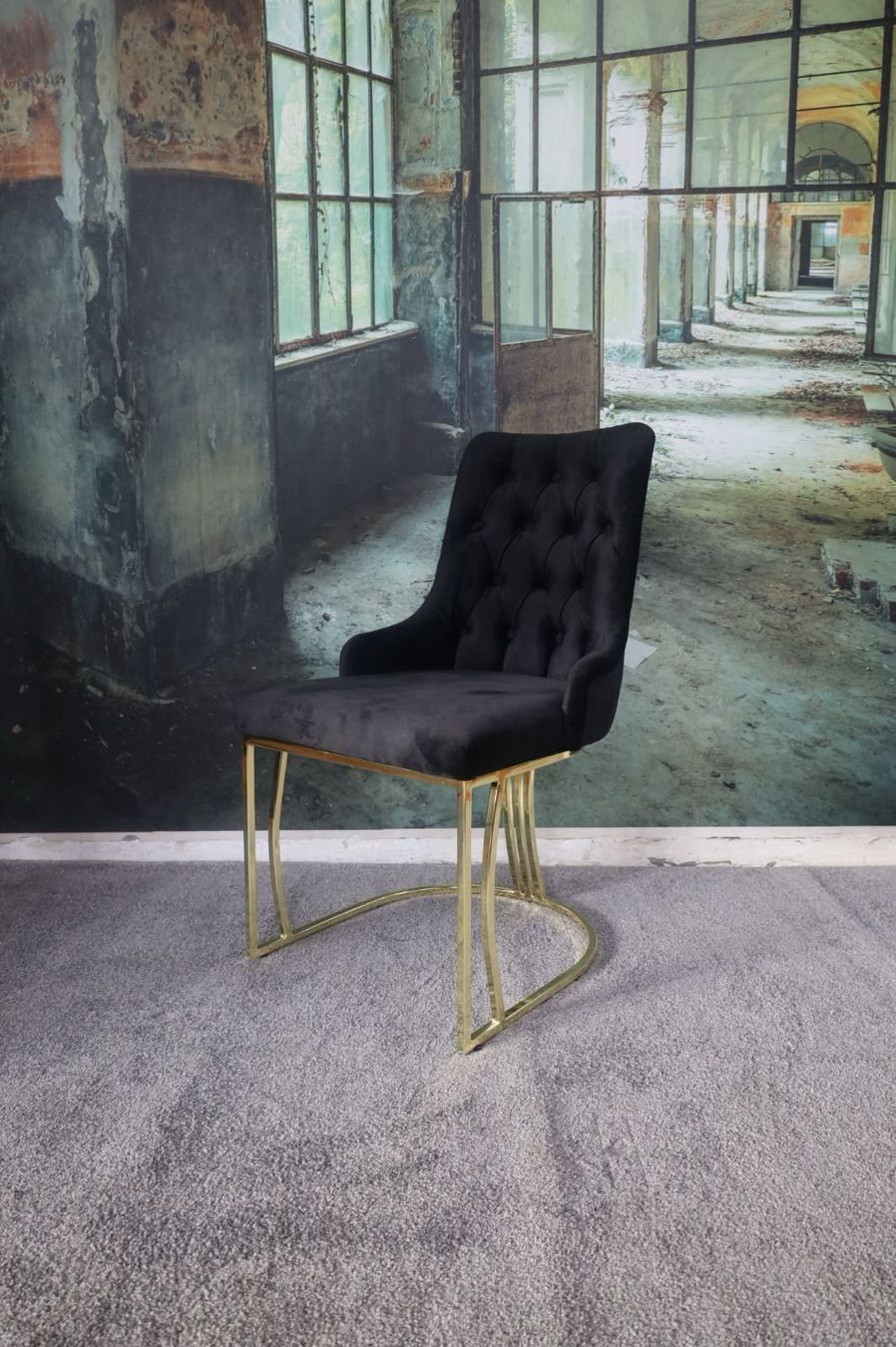 Sedie: 6-er SET Schwarzer Samt Stuhl mit goldenem Gestell – Nuovo e nell'imballaggio originale da Recherswil venduto da Moebel_Outlet