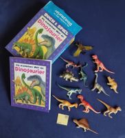 Wunderbare Welt der Dinosaurer (Buch/Figuren)