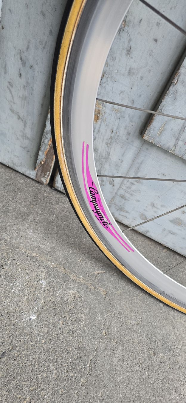 Campagnolo Pezzi di ricambio: Campagnolo Shamal Titanium – Usato da basel venduto da Propain 1