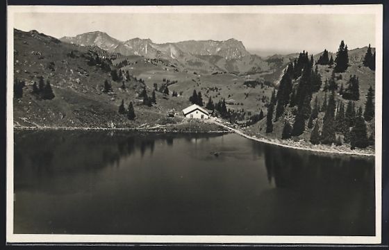 Cartoline postali: AK Ormont-Dessous, Lac Liozon, Panorama – Usato da Berlin venduto da bartko-reher