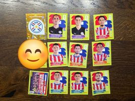 Panini 2026 WM PAR Paraguay  11 Stk. (Preis pro Stück!!!)