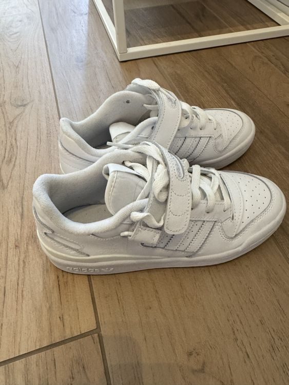 Adidas Chaussures femmes: Adidas Forum – Neuf (Voir description) à Ebikon par miss_ejlena 1