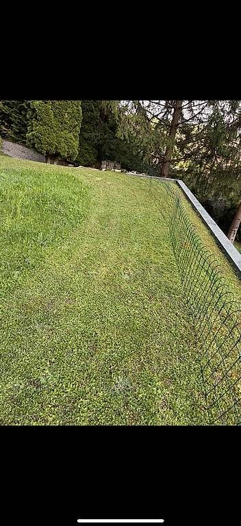 Sichtschutz: Zaun grün 10x0.65m – Gebraucht aus Niedergösgen von sim_v2bq 1