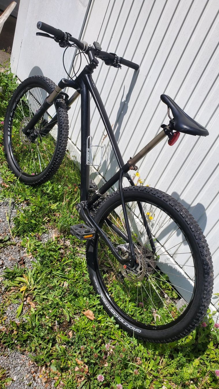 Biciclette: Specialized CUSTOM – Usato da Luzern venduto da ote_bx5w 2