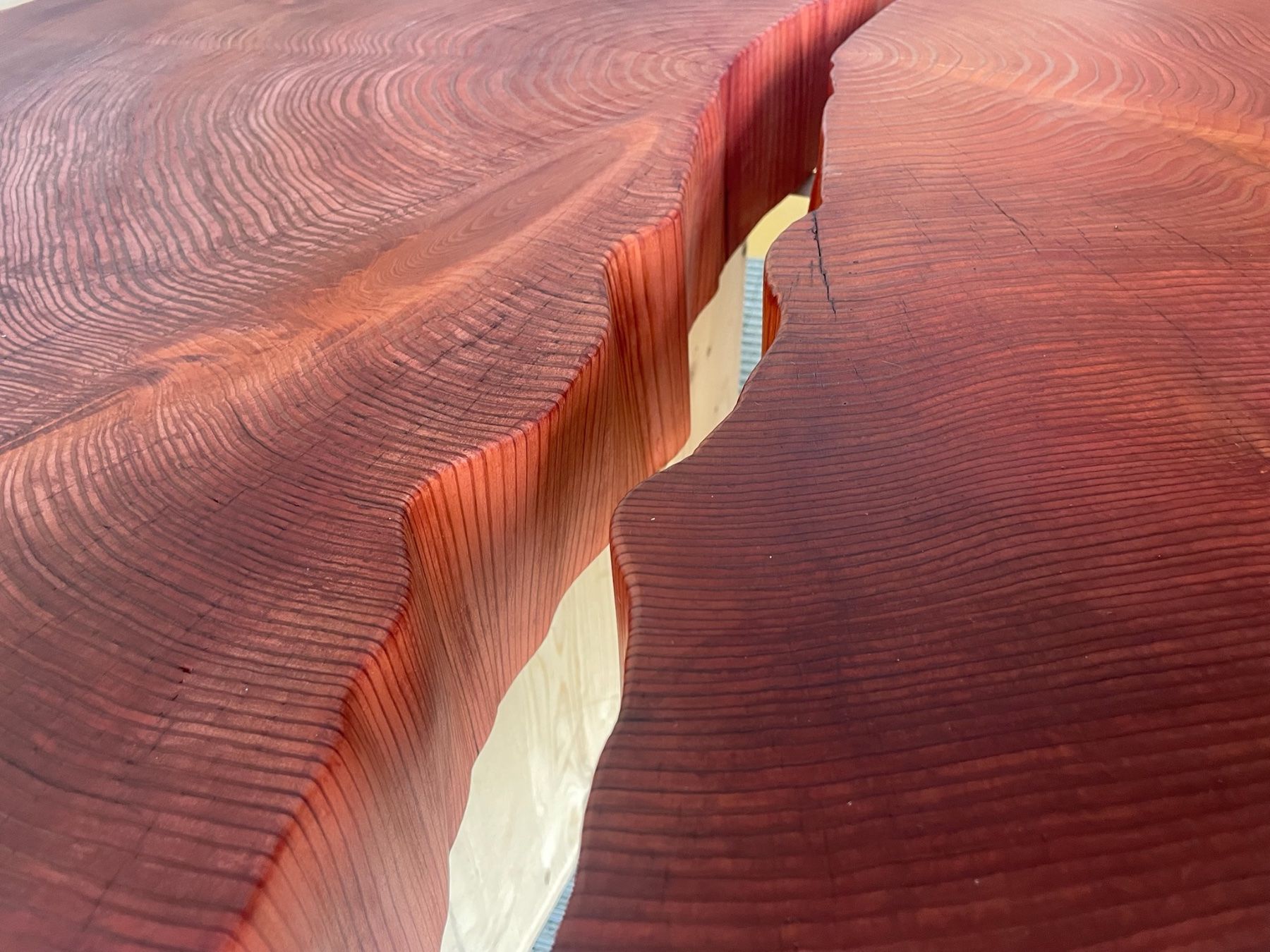 Tavoli: 130-year-old giant sequoia cookie slab lounge table – Nuovo (secondo la descrizione) da Meilen venduto da TN20 4