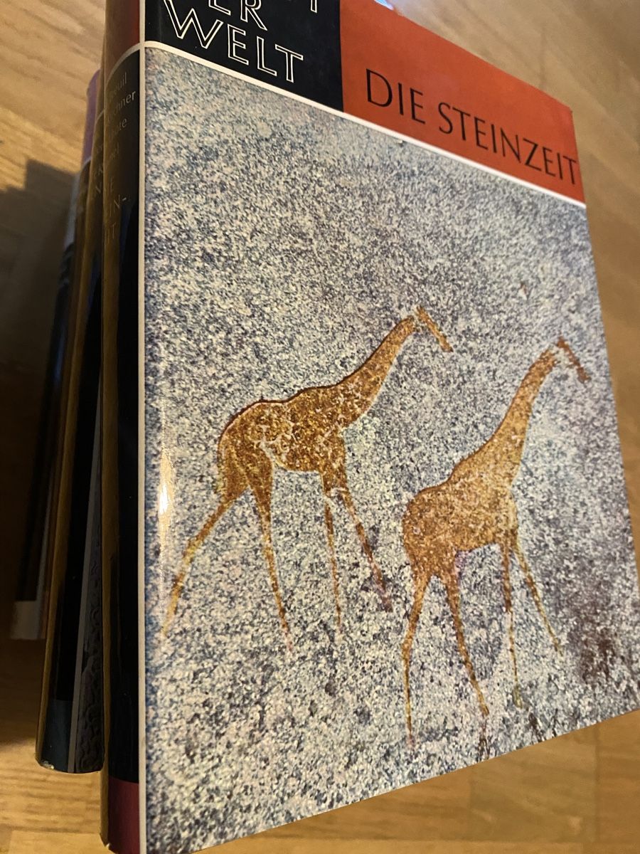Libri: Kunst der welt  -8 Books – Usato da Dietikon venduto da Tdaf33 6