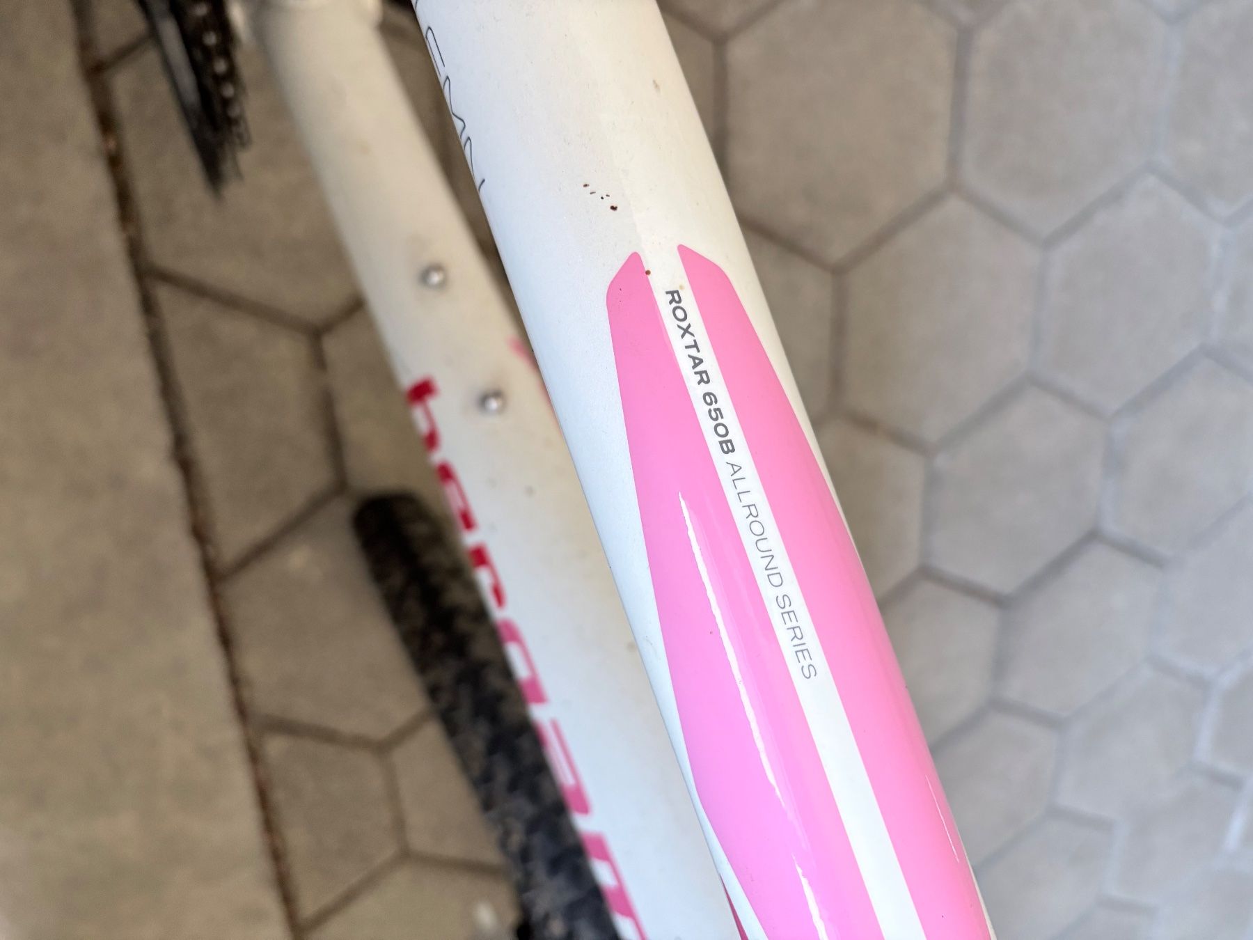 Bergamont Biciclette: Damen Mountainbike Hardtail – Usato da Sattel venduto da lsc_k62p 6