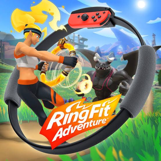 Nintendo Giochi: Nintendo Switch Ring Fit – Usato da Bottmingen venduto da Tuxedo78