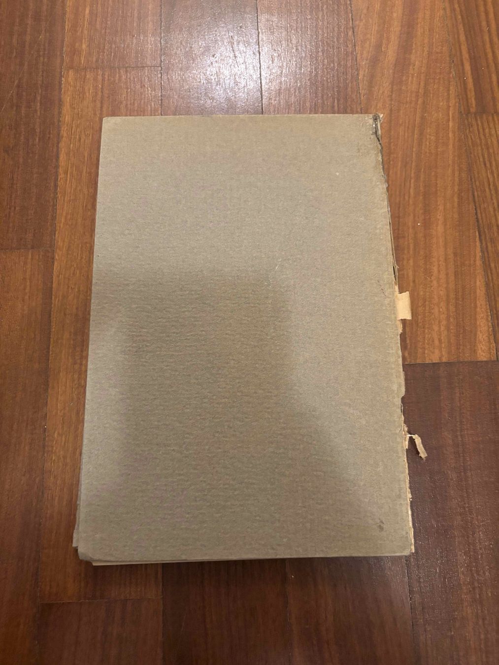 Libri: Il Correggio – Usato da Lugano venduto da Mark_Young 4
