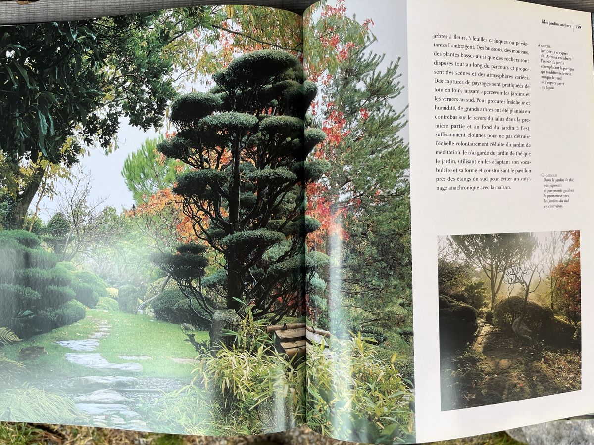 Libri: Les leçons du JARDIN ZEN – Usato da Euseigne venduto da so.ART 7