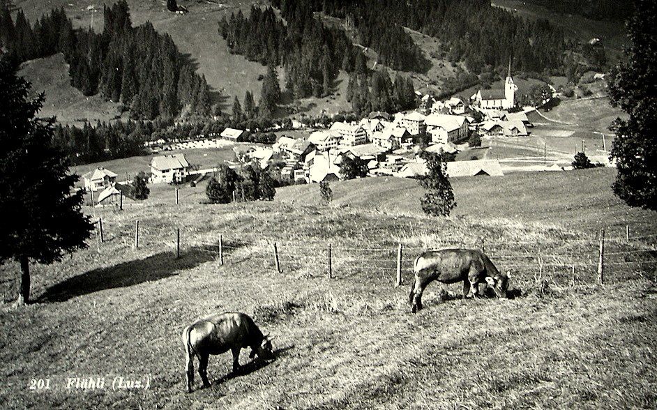 Cartoline postali: FLÜHLI (Luz.) Kühe – Nuovo (secondo la descrizione) da Jona venduto da philajona