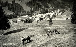 FLÜHLI (Luz.) Kühe