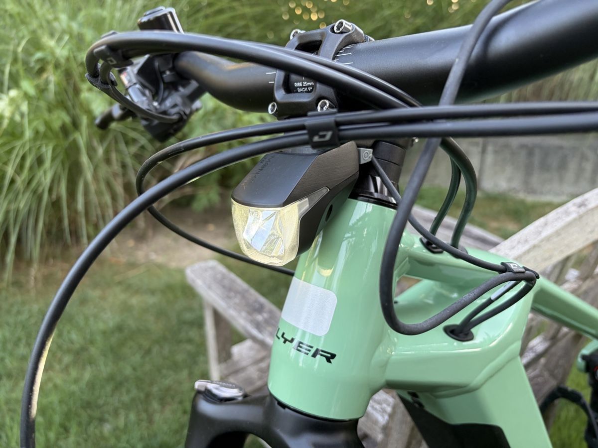 Flyer Biciclette: Flyer e-Mountainbike Uproc 3 S – Usato da Weinfelden venduto da Thea93 8