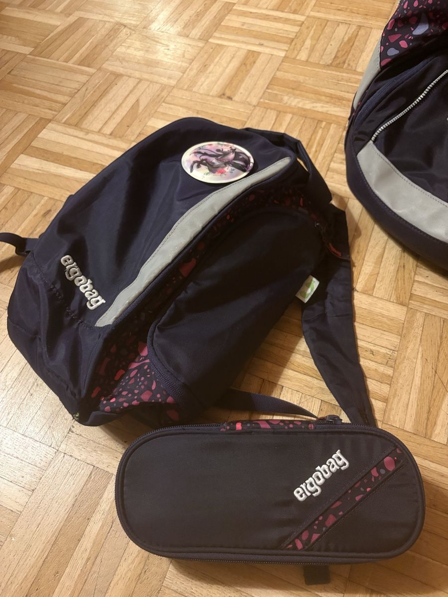 Ergobag Borse & Zaini: Ergobad Schulthek violett  – Usato da Adliswil venduto da JaHaZu 6