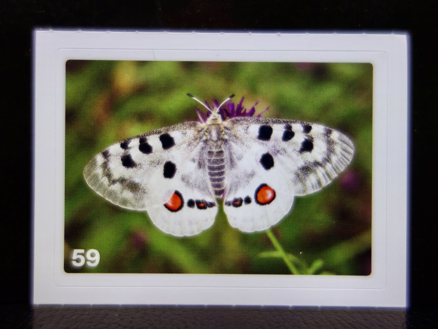 Migros Sammelbilder & Trading cards: MIGROS MANIA Nature Detectives Nr. 59 – Gebraucht aus Kerzers von djstarsky73