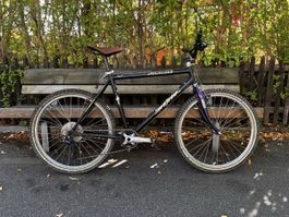 Specialized Stumpjumper FS