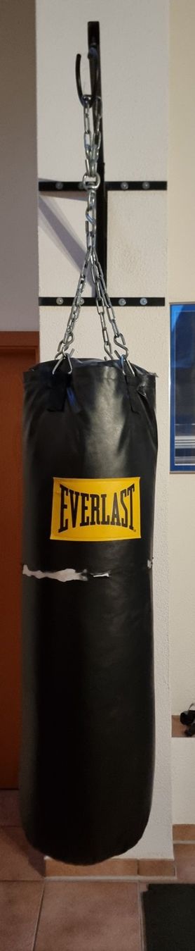 Everlast Sacchi da boxe: Boxsack Everlast 21.5 KG – Usato da Rüdlingen venduto da jo_26 1