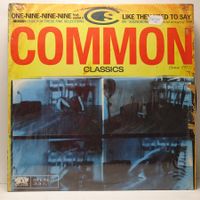 V.A. - Common Classics Feat. 199 Ft. Sadat X u.a.