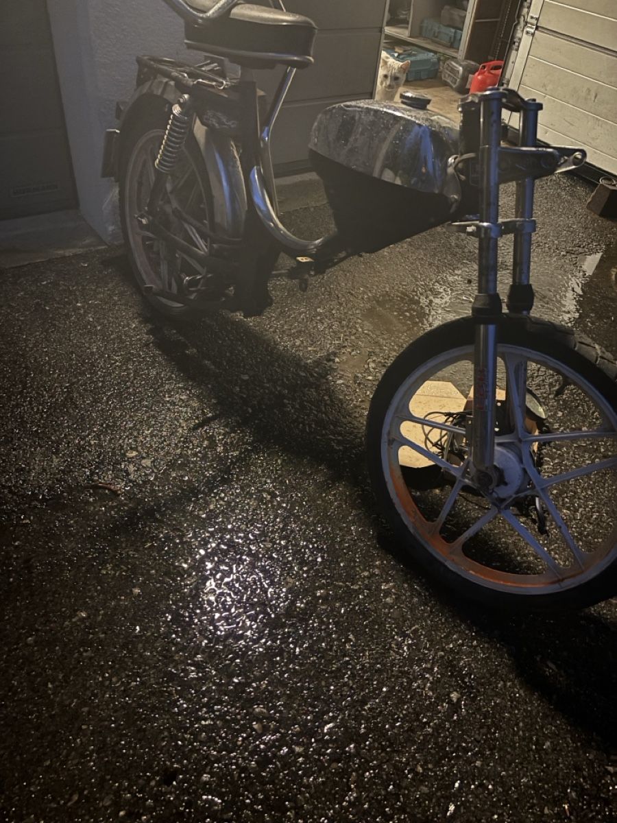 Sachs Mofas: Mofa Rahmen sachs – Gebraucht aus Niederurnen von abi_s6td