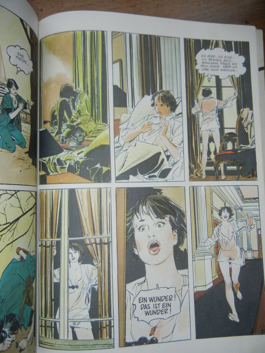 Fumetti: Comic Erotik - Die Ueberlebende - P. Gillon – Nuovo (secondo la descrizione) da Langendorf venduto da sonntag10 4