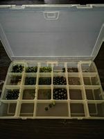 Perlen Box Grün