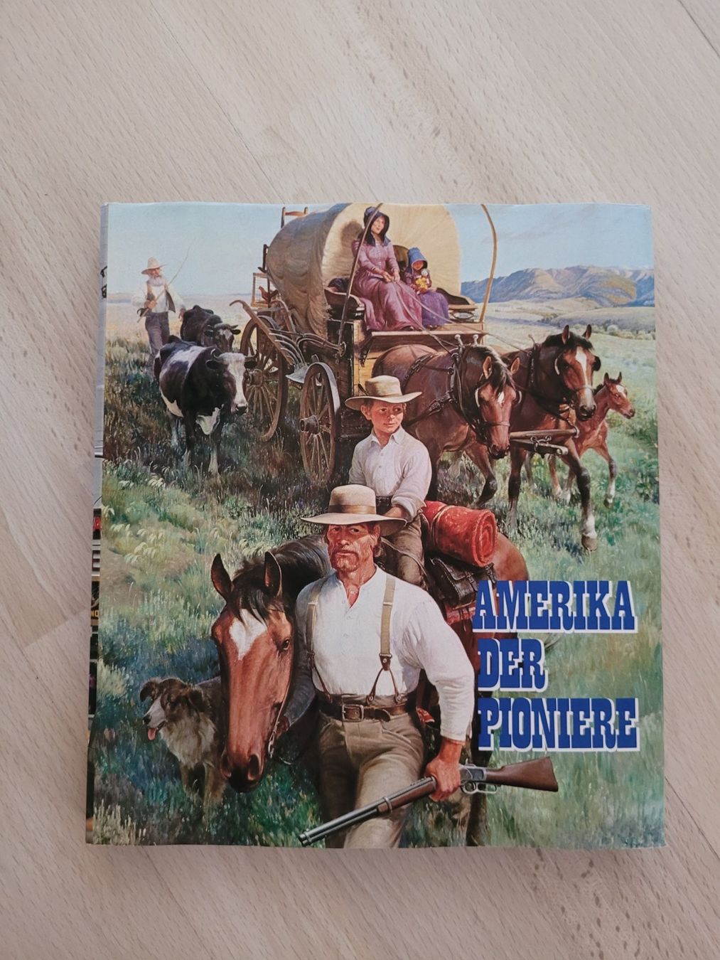 Libri: Amerika der Pioniere – Usato da Perlen venduto da Safari_23