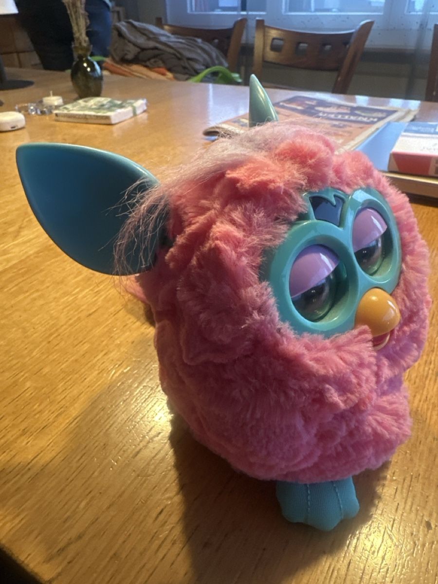 Hasbro Spielzeuge: FURBY, funktionsfähig – Gebraucht aus Grenchen von salveter 2