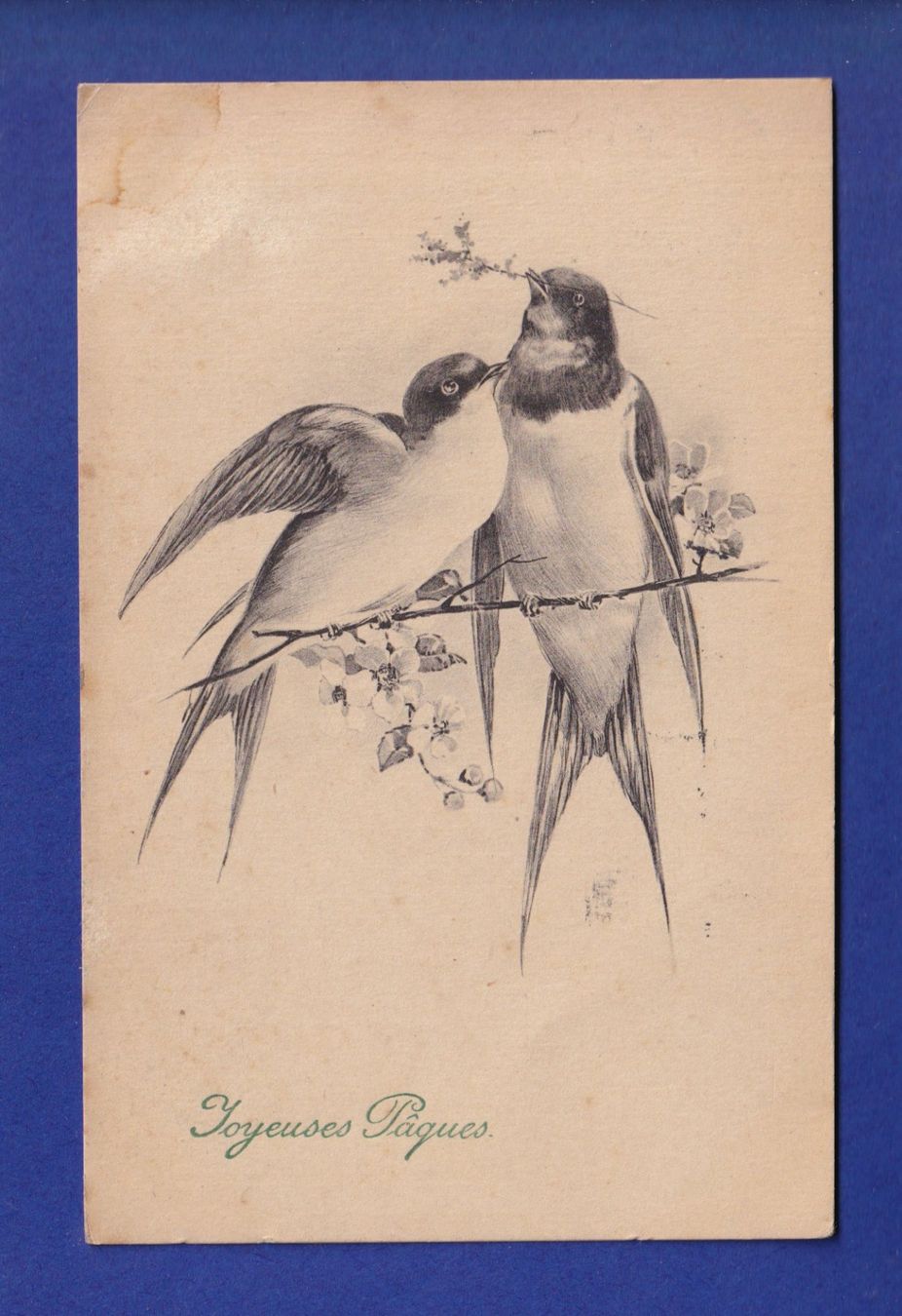 Ansichtskarten: OISEAU - Hirondelles – Gebraucht aus Pully von nicecards-shop