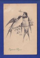 OISEAU - Hirondelles