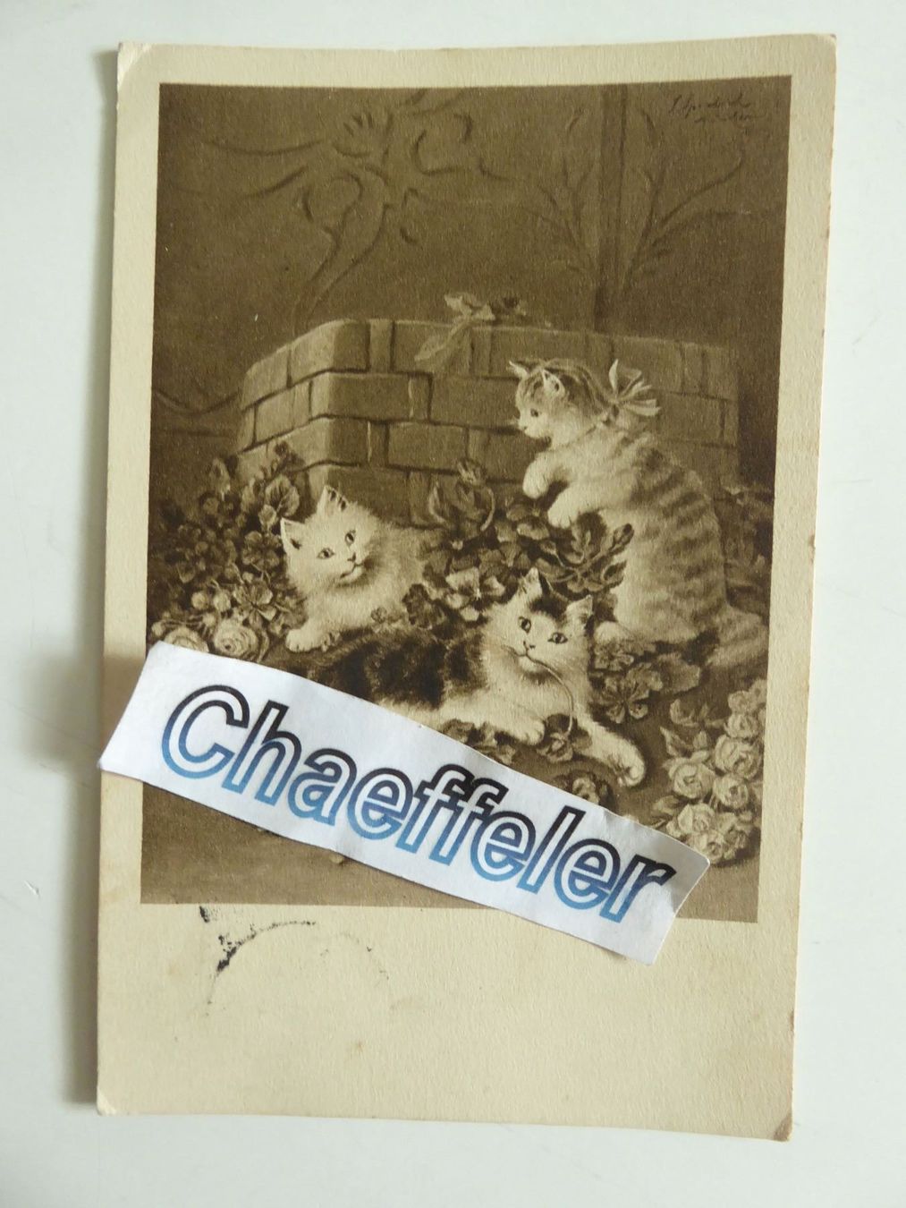 Cartes postales: 1912  schöne alte Büsi-Karte – D'occasion à Zürich par Chaeffeler