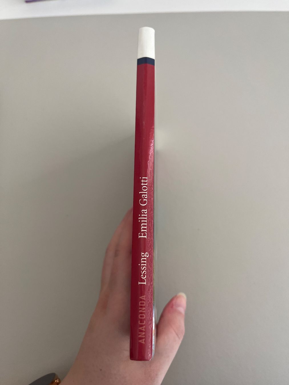 Libri: Emilia Galotti - Gotthold Ephraim Lessing – Nuovo (secondo la descrizione) da Kerzers venduto da StellasStar 2