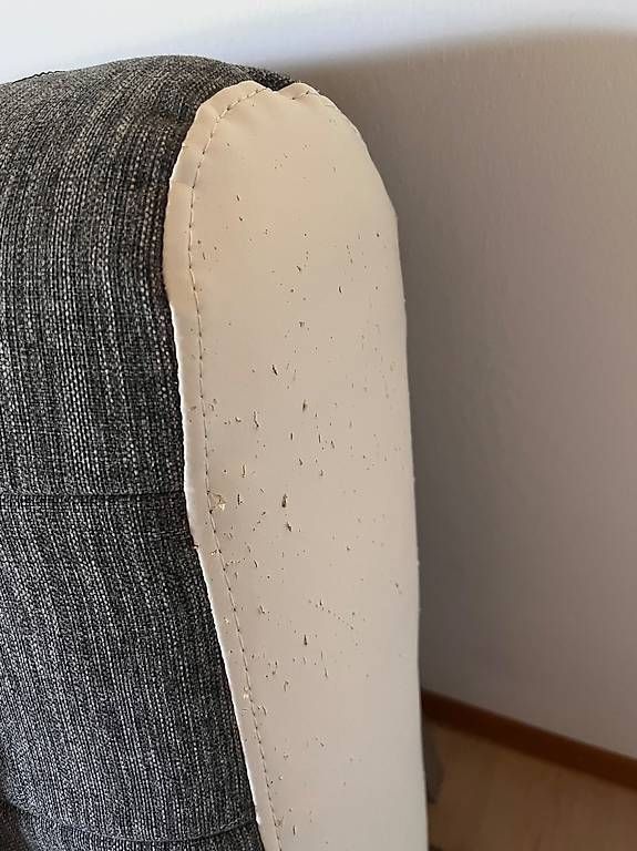 Divani: Ausziehbares Bettsofa – Usato da Bern venduto da ane_n5f7 2