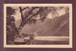 Gli Olivi di GANDRIA - 1926
