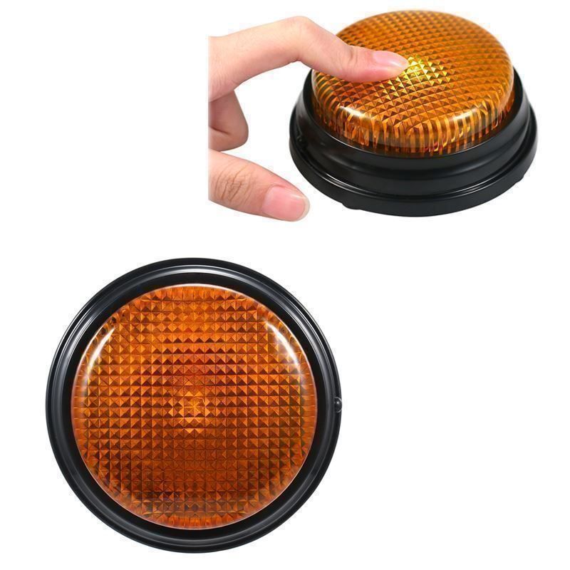 Autres optique: Hunde Spielzeug mit Answer buzzer – Neuf (Voir description) à Thun par keller001 4