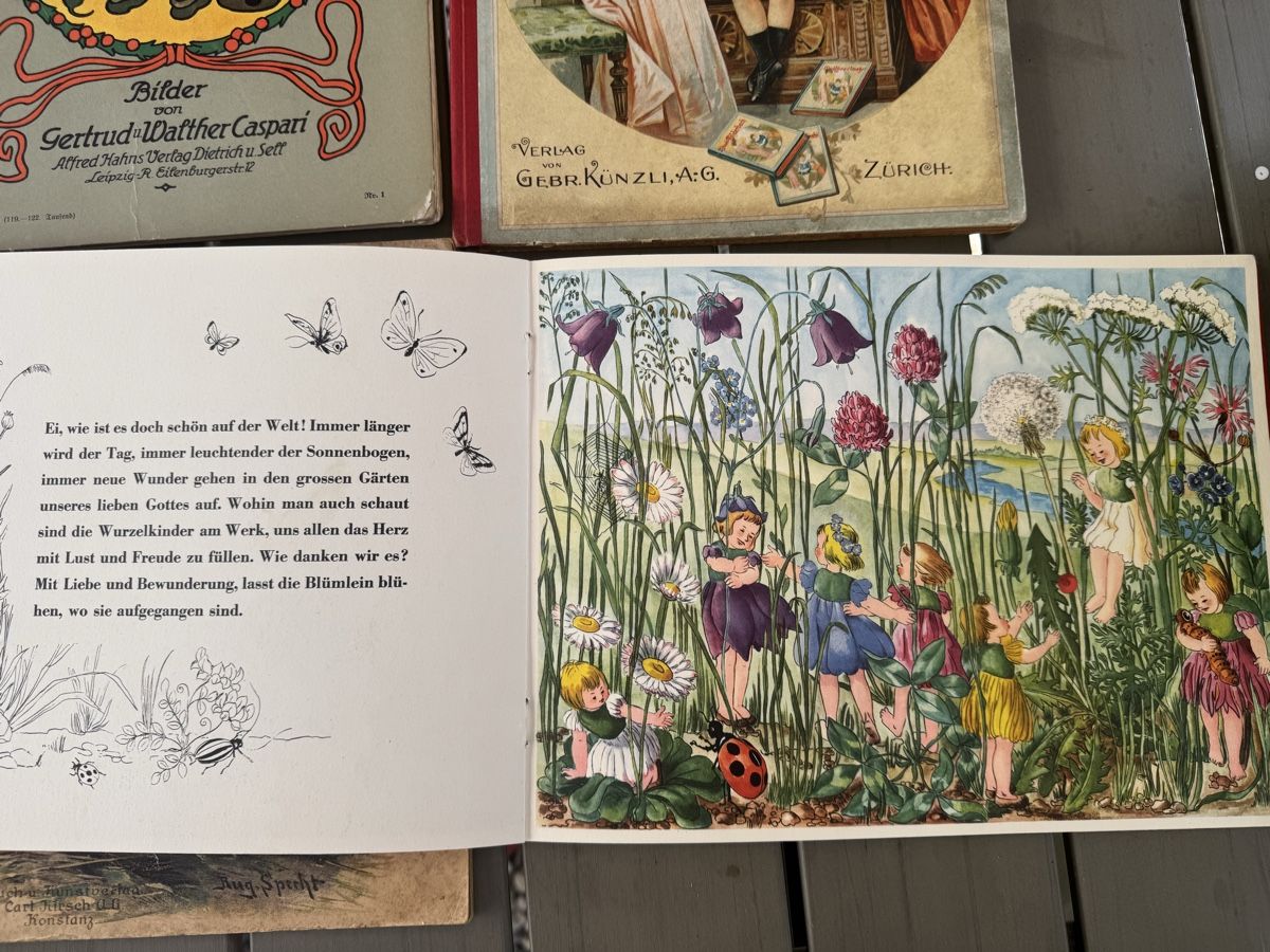 Libri: 6 antike Kinderbücher  – Usato da Pfäffikon ZH venduto da lenaviktoria 4